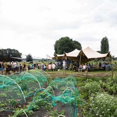 wijgaarde_terwolde_biologische_groenten_tuin_netten